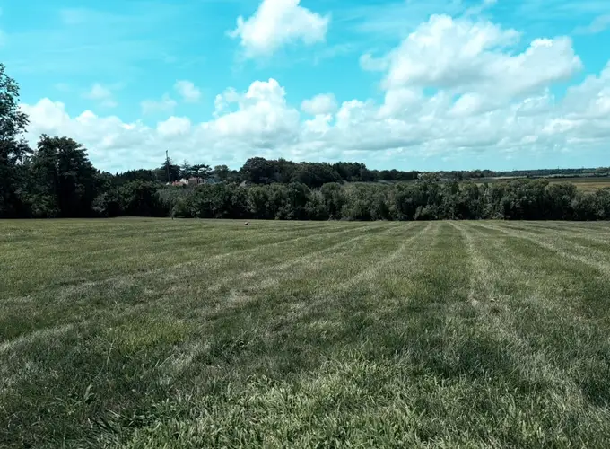 A wide, well-kept yard under a blue sky