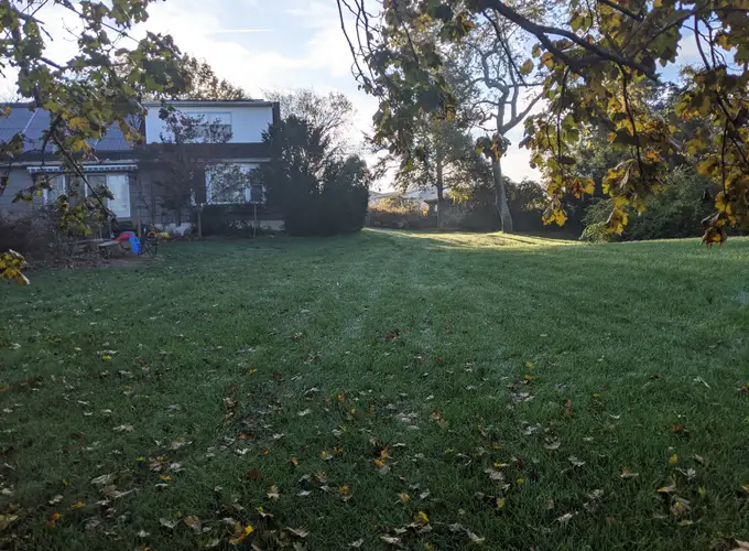 A clean, freshly serviced backyard in Galloway, NJ